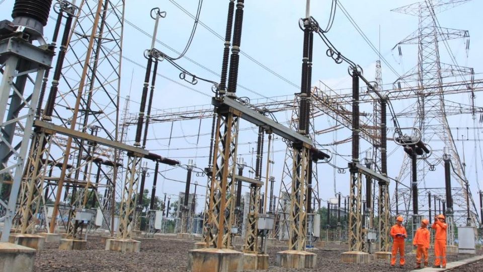 Pemerintah Dorong PLN Manfaatkan CPO untuk Pembangkit