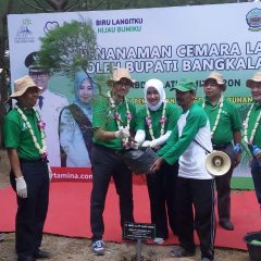 Taman Pendidikan Mangrove Bangkalan Beri Efek Pengganda bagi Masyarakat