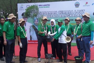 Taman Pendidikan Mangrove Bangkalan Beri Efek Pengganda bagi Masyarakat