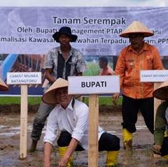 Agincourt Resources Dorong Peningkatan Kesejahteraan Petani di Sekitar Tambang. Ini Caranya!