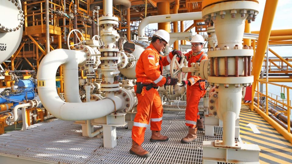 Pemerintah Tidak Berdaya Turunkan Harga Gas Empat Sektor Industri