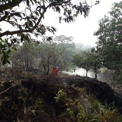 Tak Hanya Mencari dan Mengebor Minyak, Pertamina EP Pun Tanggap Darurat Karhutla