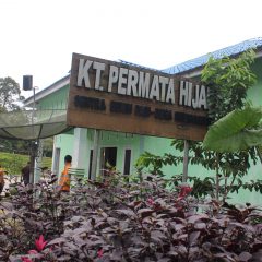 Petani Batangtoru Makin Pede Berkat Dukungan Pengelola Tambang Martabe