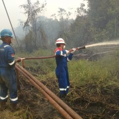 Terjunkan Tim Operasi Darurat, Fasilitas Operasi PHE Kampar Telah Aman dari Karhutla