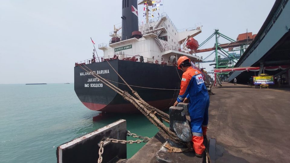 Mekanisme Pungutan Batu bara Melalui BLU Mulai Jalan Kuartal I 2023