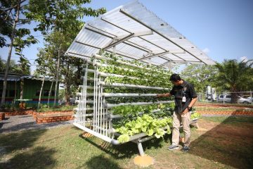 Sarah, Sampah Jadi Berkah Binaan Pertamina EP Asset 2