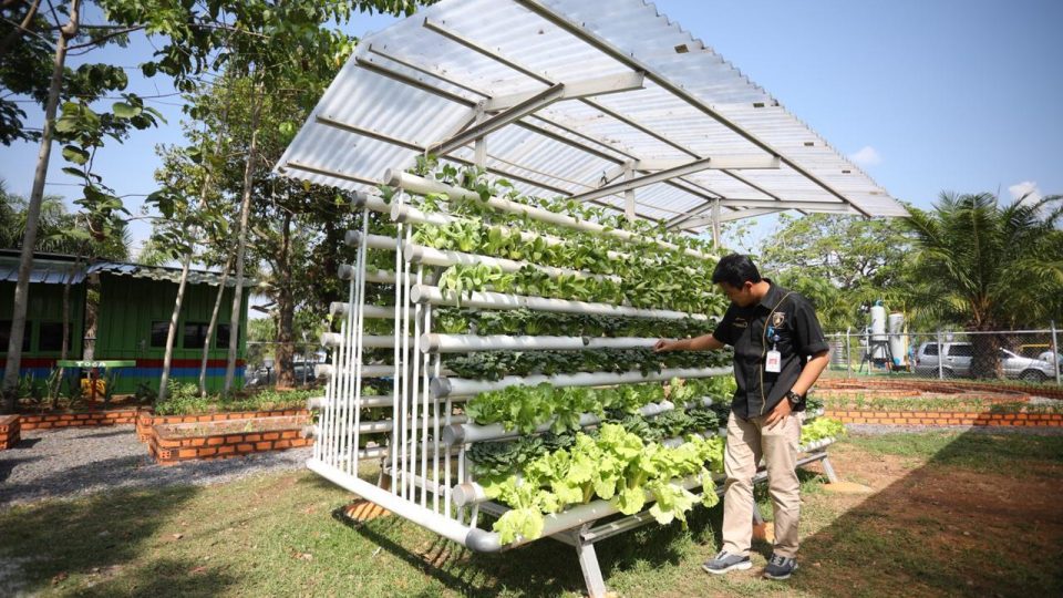 Sarah, Sampah Jadi Berkah Binaan Pertamina EP Asset 2