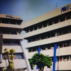 Garap Sektor Energi, Ini Proyek yang Dibidik PAL Indonesia