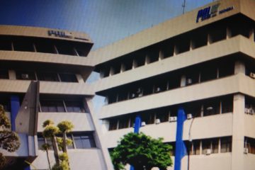 Garap Sektor Energi, Ini Proyek yang Dibidik PAL Indonesia