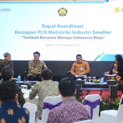 Pemerintah Minta PLN Pastikan Pasokan Listrik untuk Smelter