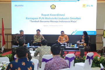 Pemerintah Minta PLN Pastikan Pasokan Listrik untuk Smelter