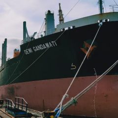 Kejar Pertumbuhan 2020, Pelita Samudera Tuntaskan Pembelian Kapal Angkutan Batu Bara