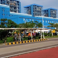 Kejar Target Bauran EBT, Roadmap Cofiring Biomassa Ditargetkan Tuntas Kuartal I