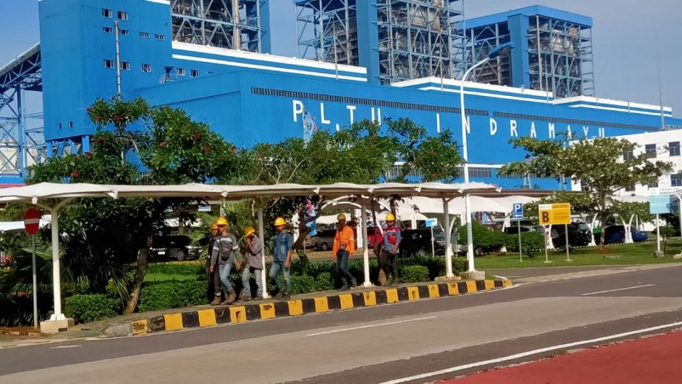 Kejar Target Bauran EBT, Roadmap Cofiring Biomassa Ditargetkan Tuntas Kuartal I