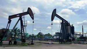 Perjanjian Jual Beli Pembangkit Listrik MCTN Berpotensi Merugikan Negara