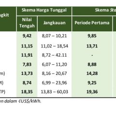Penentuan Harga, Instrumen Krusial Pengembangan Energi Terbarukan