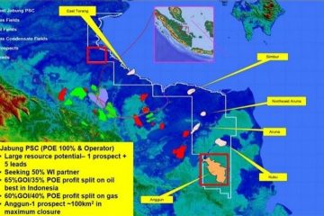 Gagal Temukan Cadangan Migas, Repsol dan Pan Orient Energy Hengkang Dari Blok East Jabung