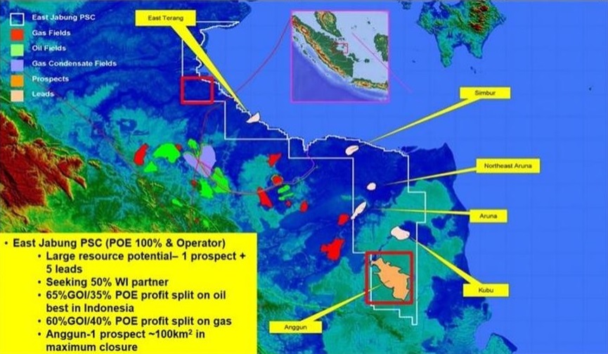 Gagal Temukan Cadangan Migas, Repsol dan Pan Orient Energy Hengkang Dari Blok East Jabung
