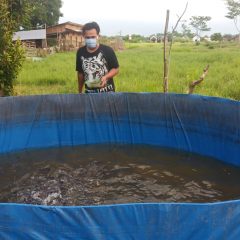 Pesantren Al Hidayah Binaan Pertagas Sukses Budidaya Lele