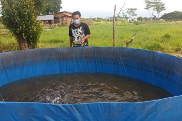 Pesantren Al Hidayah Binaan Pertagas Sukses Budidaya Lele