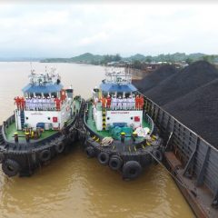 Segmen Bulk Carrier Pacu Peningkatan Pendapatan Pelita Samudera
