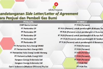 Sebanyak 20 Perjanjian Penyesuaian Harga Gas Bumi Ditandatangani