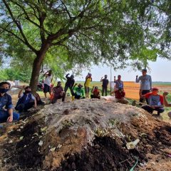 Hasil Panen Menjanjikan, Gapoktan Binaan Pertagas Tambah Produksi Pupuk Organik