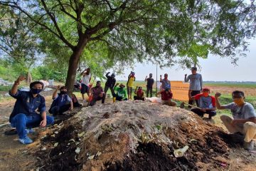 Hasil Panen Menjanjikan, Gapoktan Binaan Pertagas Tambah Produksi Pupuk Organik