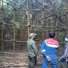Keren! Produksi Minyak Naik, Pertamina EP Subang Komitmen Lestarikan Satwa Langka