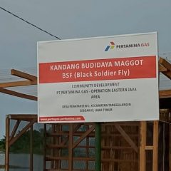 Kampung Ikan Asap Penatarsewu Binaan Pertagas Budidayakan Manggot
