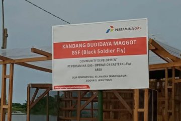 Kampung Ikan Asap Penatarsewu Binaan Pertagas Budidayakan Manggot