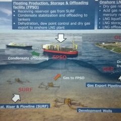 SKK Migas Klaim Rencana Shell Lepas PI Masela Bukan Karena Perubahan Skema Pengembangan