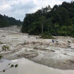 MIND ID Pastikan Produksi dan Hilirisasi Timah Bakal Digenjot