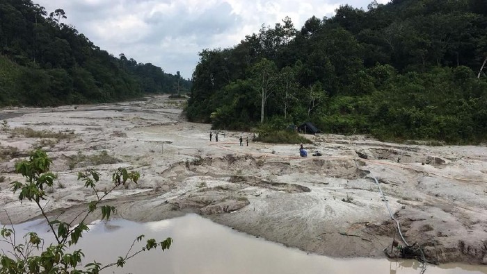 MIND ID Pastikan Produksi dan Hilirisasi Timah Bakal Digenjot