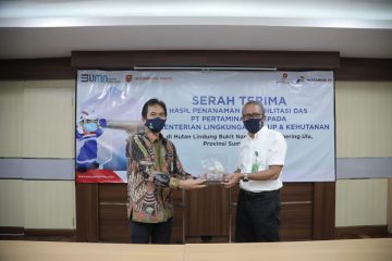 Tingkat Keberhasilan Penanaman 94,7%, Pertamina EP Serahkan Rehabilitasi DAS ke Pemerintah