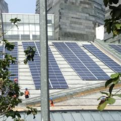 Investasi Energi Terbarukan Pacu Pertumbuhan Ekonomi