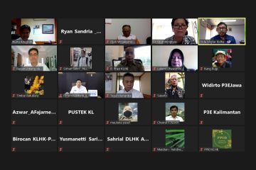 Serius Kelola Lingkungan Hidup dan Kehutanan, Indonesia Dapat Pengakuan Internasional