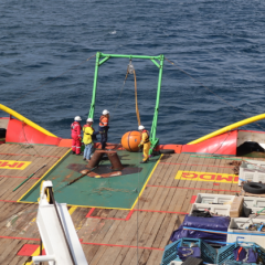 Inpex Rampungkan Metocean Service Visit di Blok Masela