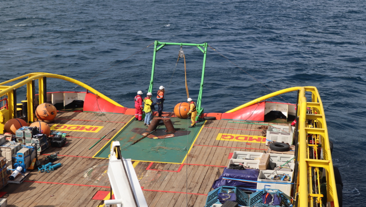 Inpex Rampungkan Metocean Service Visit di Blok Masela