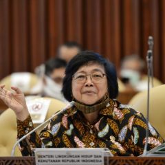 Menteri LHK Ingatkan Pemda, Pemetaan Wilayah Harus Sesuai Regulasi dan Standar Nasional