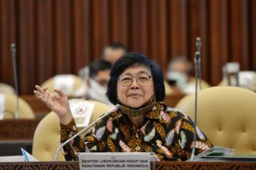 Menteri LHK Ingatkan Pemda, Pemetaan Wilayah Harus Sesuai Regulasi dan Standar Nasional