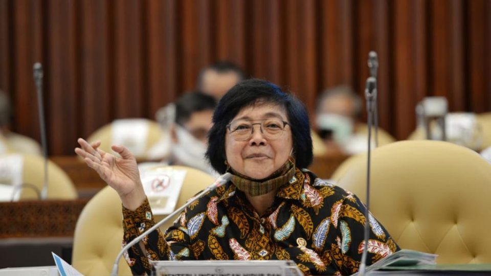 Menteri LHK Ingatkan Pemda, Pemetaan Wilayah Harus Sesuai Regulasi dan Standar Nasional