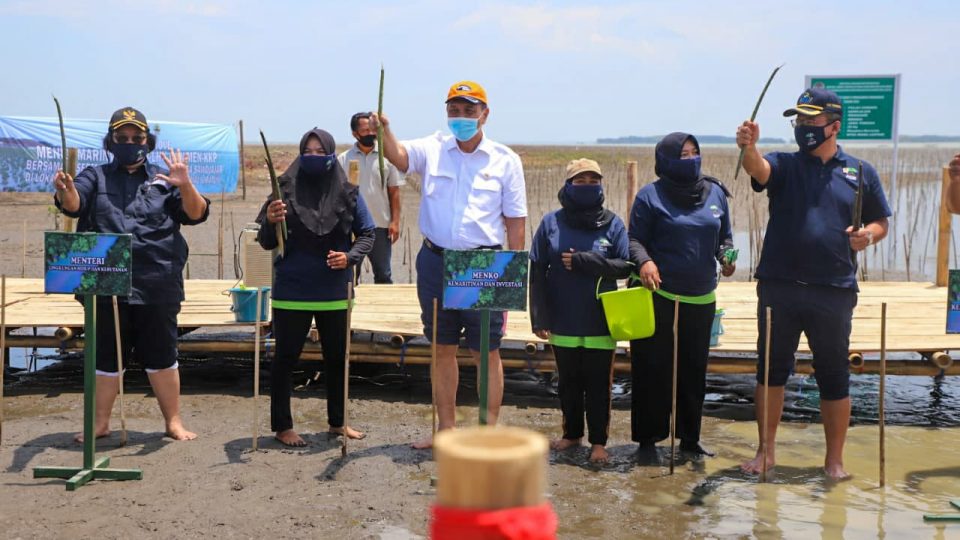 Pacu Pemulihan Ekonomi, Pemerintah Gencarkan Padat Karya Penanaman Mangrove