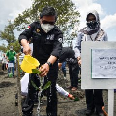 Kendalikan Perubahan Iklim, Kementerian LHK Gencarkan Padat Karya Penanaman Mangrove