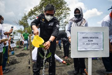 Kendalikan Perubahan Iklim, Kementerian LHK Gencarkan Padat Karya Penanaman Mangrove