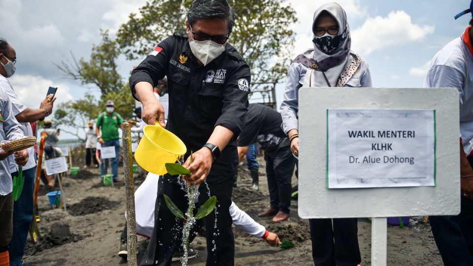 Kendalikan Perubahan Iklim, Kementerian LHK Gencarkan Padat Karya Penanaman Mangrove