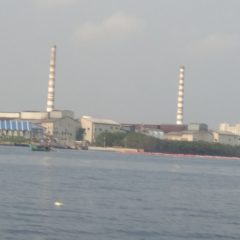 Kebijakan Perencanaan Energi Batu Bara Perlu Keekonomian Jangka Panjang