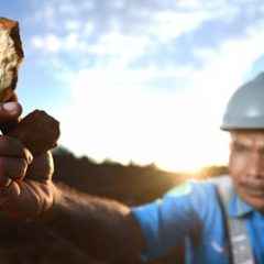 Biomass co-firing for coal-fired power plants needs a road map for sustainable supply