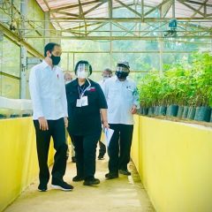 Kembangkan Green Economy, Pemerintah Bangun Persemaian Skala Besar