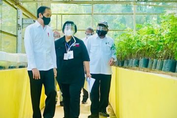 Kembangkan Green Economy, Pemerintah Bangun Persemaian Skala Besar